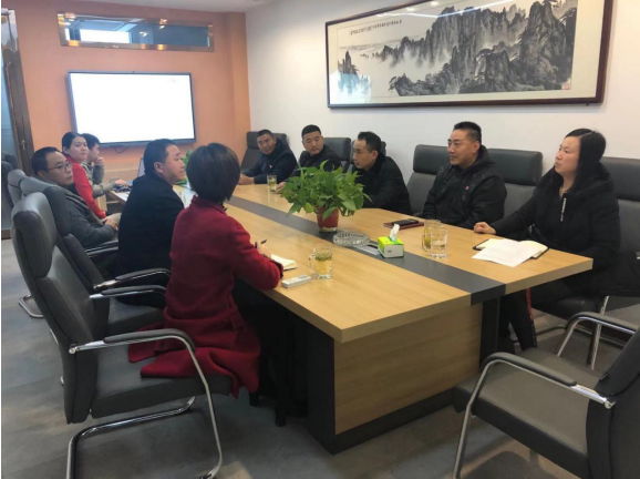 合肥市蜀山区张副区长一行莅临我司座谈指导
